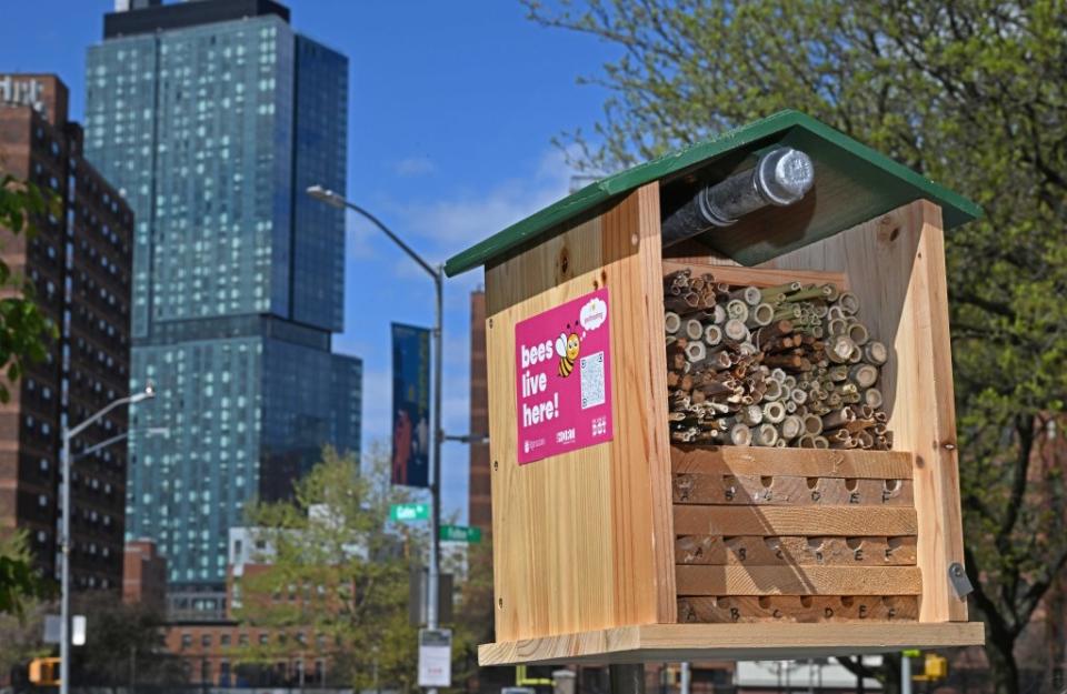 The city is installing “bee hotels” and underground “bunkers” at seven city plazas. Gregory P. Mango