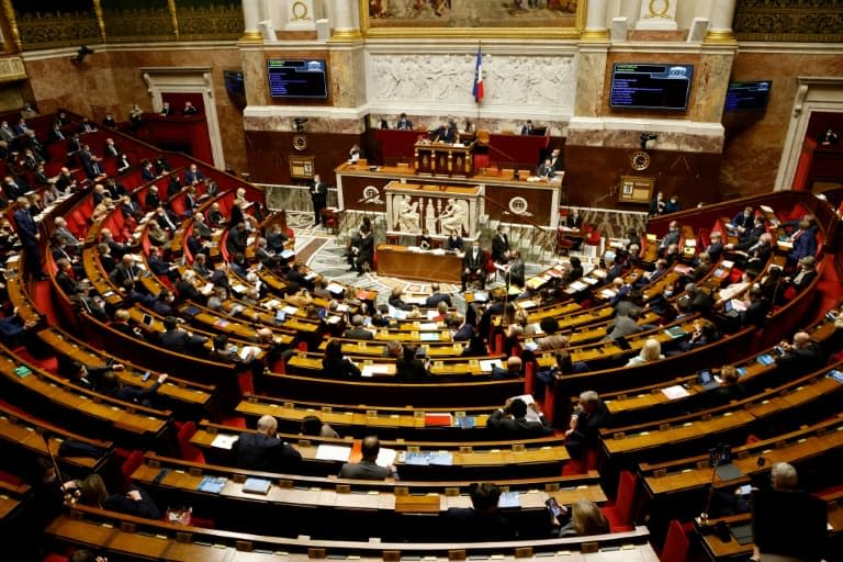 L'hémicycle de l'Assemblée nationale (PHOTO D'ILLUSTRATION) - Ludovic MARIN © 2019 AFP