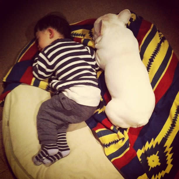 A boy and his bulldog