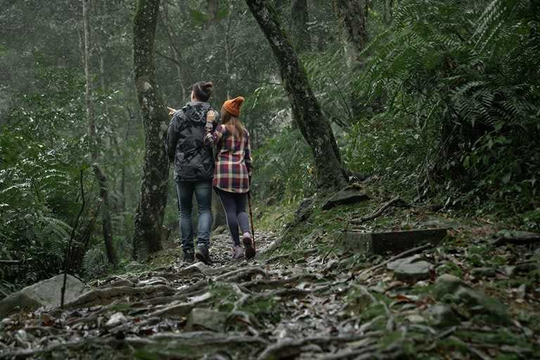 台灣山林遍布，不用跑得大老遠，隨時都能暫時遠離塵囂，呼吸新鮮空氣。