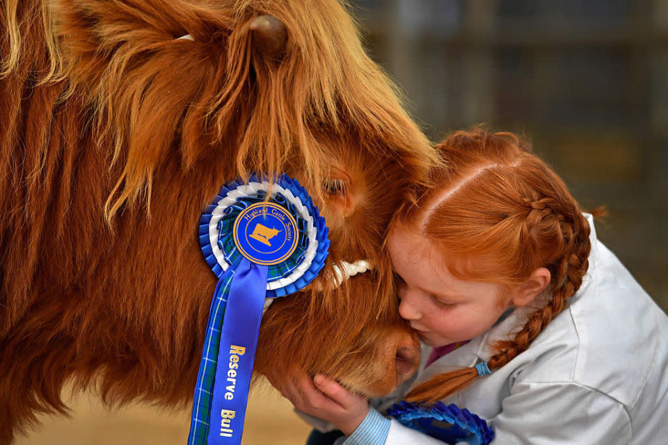 Red heads