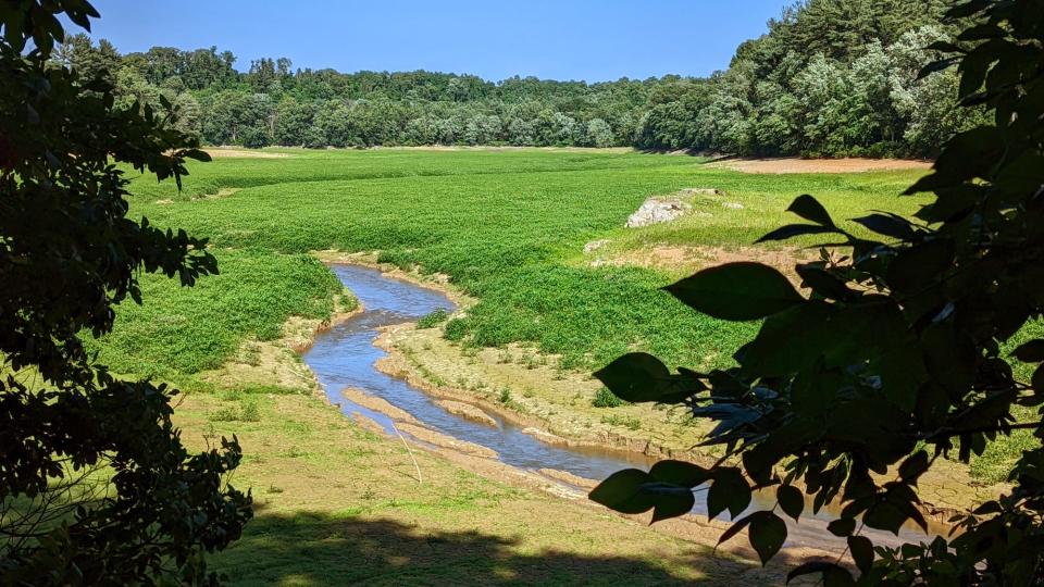 An old stream channel is visible cutting through the dry basin of Lake Williams. Work is under  way to replace its dam. The lake was drained to allow construction, creating a very different landscape. This is a view of the work from one of the walking trails. Venturing into the lake bed and construction area is prohibited.