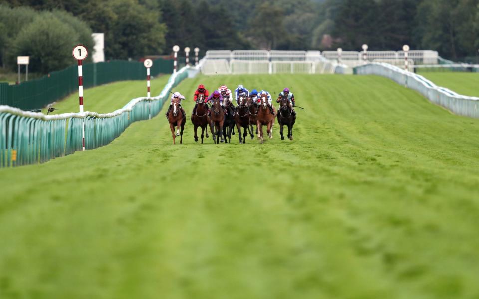 mperial Command ridden by Harrison Shaw (third left) on their way to winning the Bet At racingtv.com Handicap at Haydock Park Racecourse - PA