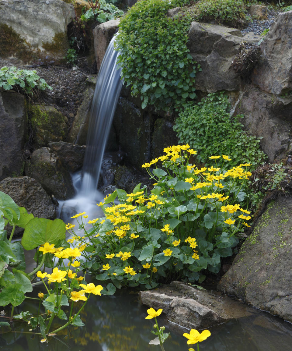 3. MAKE SPACE FOR A ROCK GARDEN