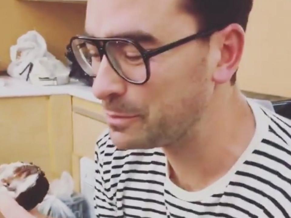 Dan Levy Annina's Bakeshop