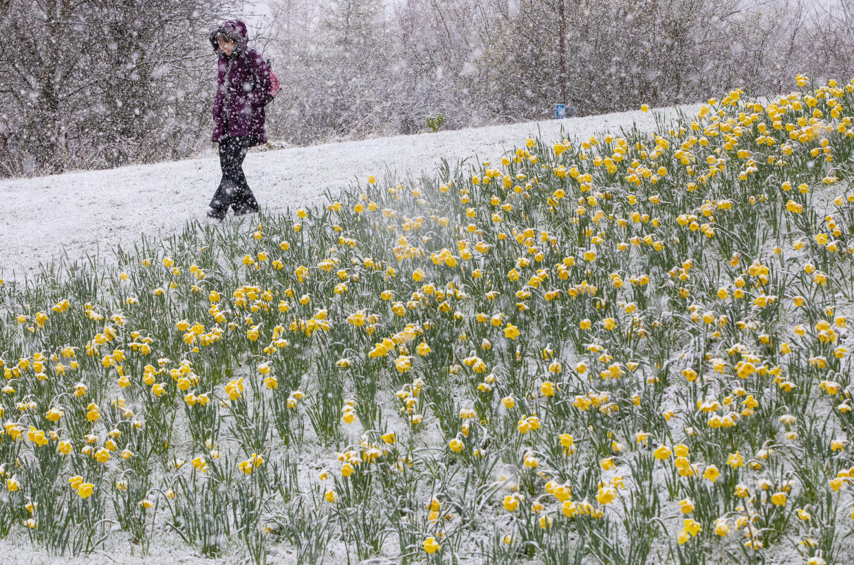 Scotland saw the heaviest snowfall, while the south and and south-west of England were struck by heavy rain (SWNS)