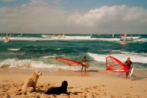 Ho'okipa Beach County Park