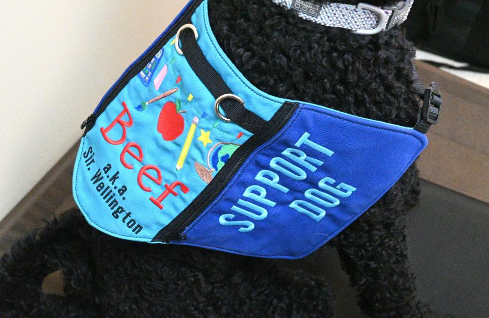 BISD made a special vest for support dog Beef, who works at the Waldron Center.