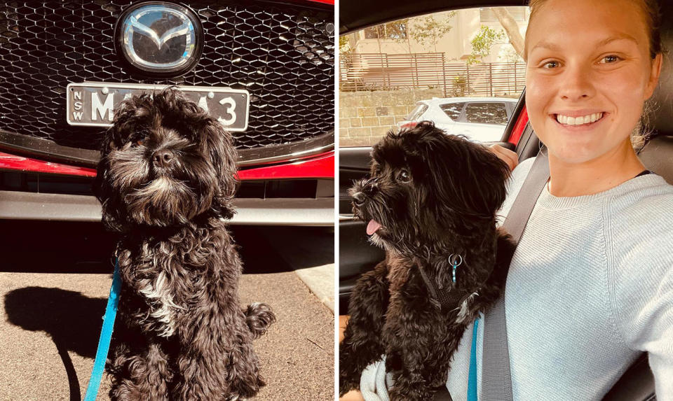 L: Winnie a black dog in front of a Mazda. R: Sophie Dillman in a car with Winnie her dog