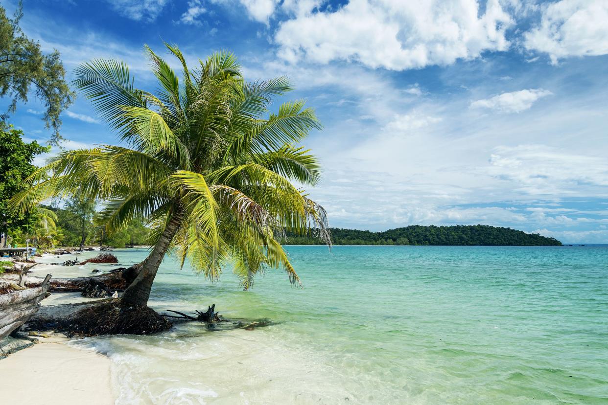 Empty Beach in Koh Rong, Cambodia, palm trees and sandy beach in the foreground with land and ocean horizon in the background