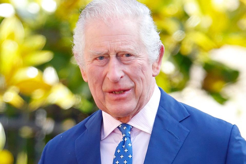 Charles was diagnosed with cancer himself earlier this year. Getty Images