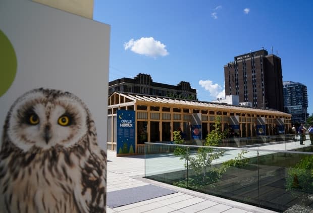 Enclosures holding a great horned owl, a barn owl, two snowy owls, a Eurasian eagle-owl and a bald eagle for an exhibit titled Owls Rendez-vous are seen on the plaza at the Canadian Museum of Nature in Ottawa on Wednesday, July 28, 2021.  The museum has reopened with a 'timed ticketing' system in place. (Sean Kilpatrick/The Canadian Press - image credit)