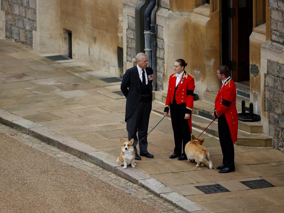 The royal corgis await the cortege on the day of the state funeral and burial of Britain's Queen Elizabeth, at Windsor Castle in Windsor, Britain, September 19, 2022.