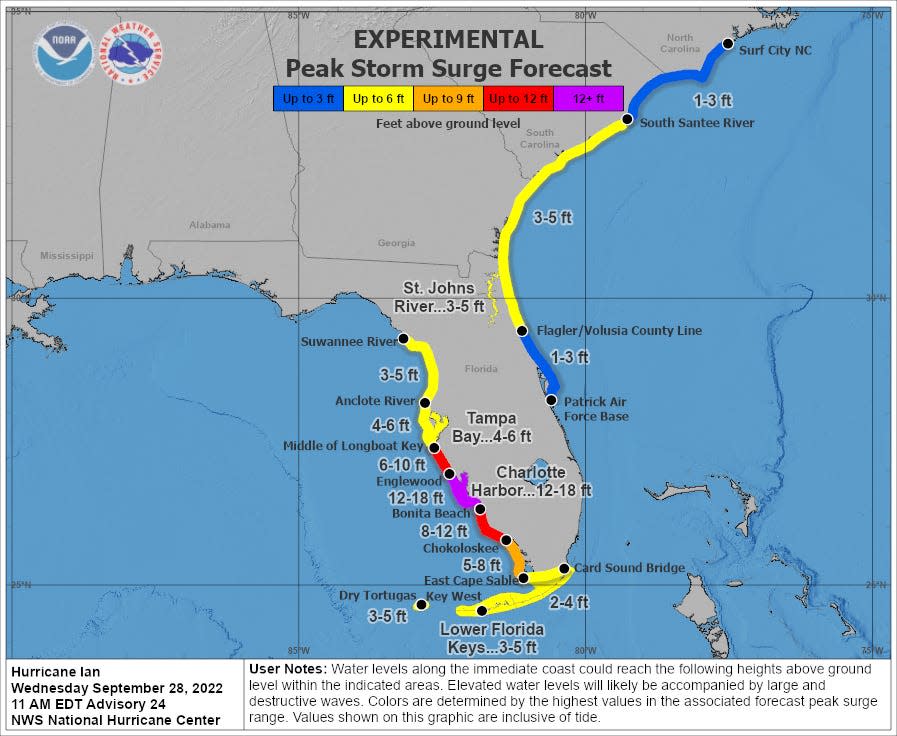 graphic shows projected storm surge across florida georgia south carolina