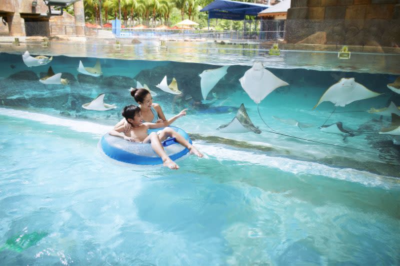 Fun in sun: Meander down the waters of Adventure River, a free-floating tube ride at Adventure Cove Waterpark