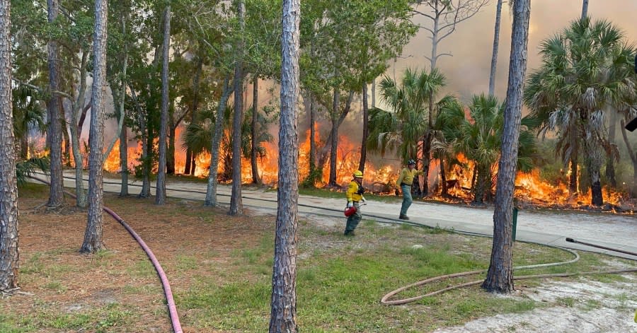 Hillsborough County Fire Rescue