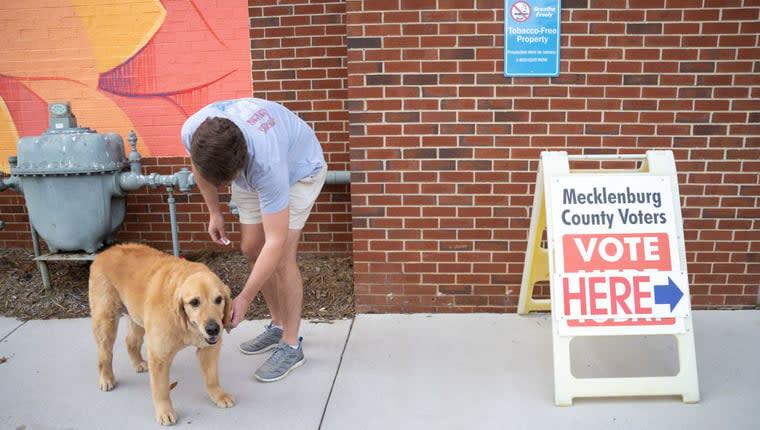 Should Dogs Be Allowed to Vote? One Man Says Yes