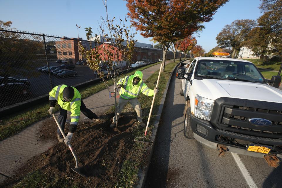 City of Rochester Department of Environmental Services, Parks Operations & Forestry crew Stefan Gassaway, left, and Darien Cotten plant a tree along the 400 block of Blossom Road in Rochester Friday, Nov. 5, 2021.  The city crew planted six trees along Blossom Rd. 