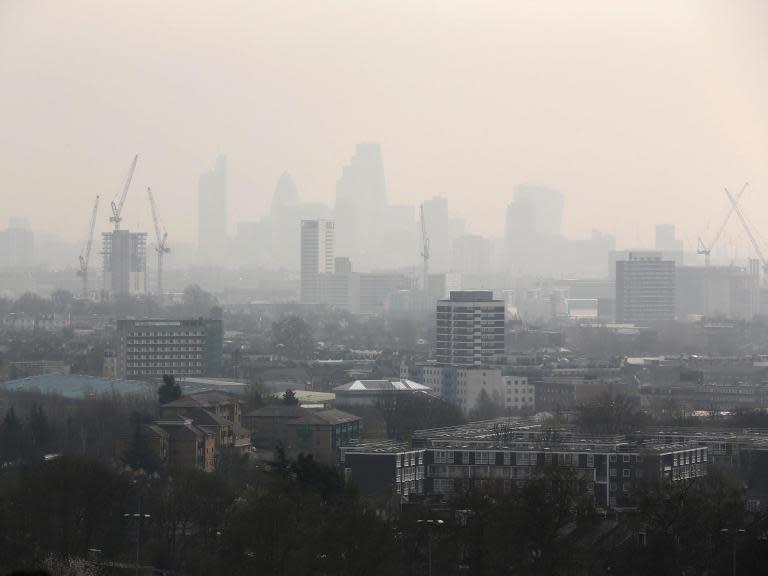 Government’s ‘deeply worrying’ post-Brexit environment plans fail to replace one-third of EU laws, MPs warn