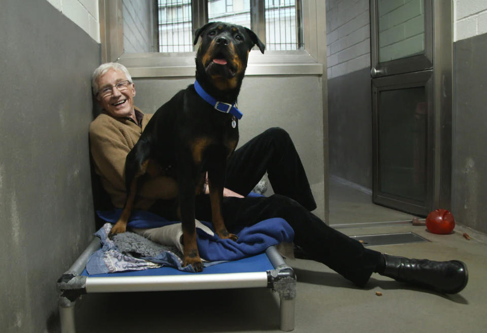 Paul O'Grady with 18-month-old Jenny the timid Rottweiler. (Paul Gray/ITV)



