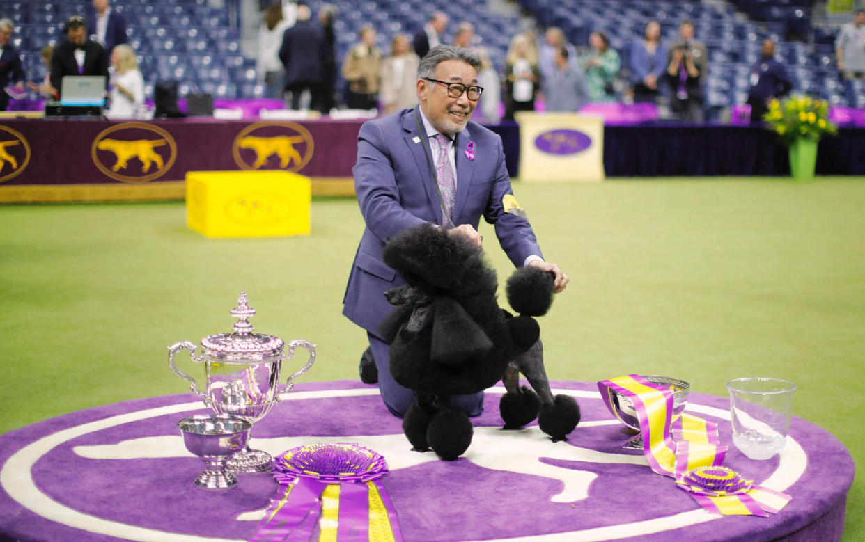 US-ANIMAL-DOG-WESTMINSTER (Kena Betancur / AFP via Getty Images)