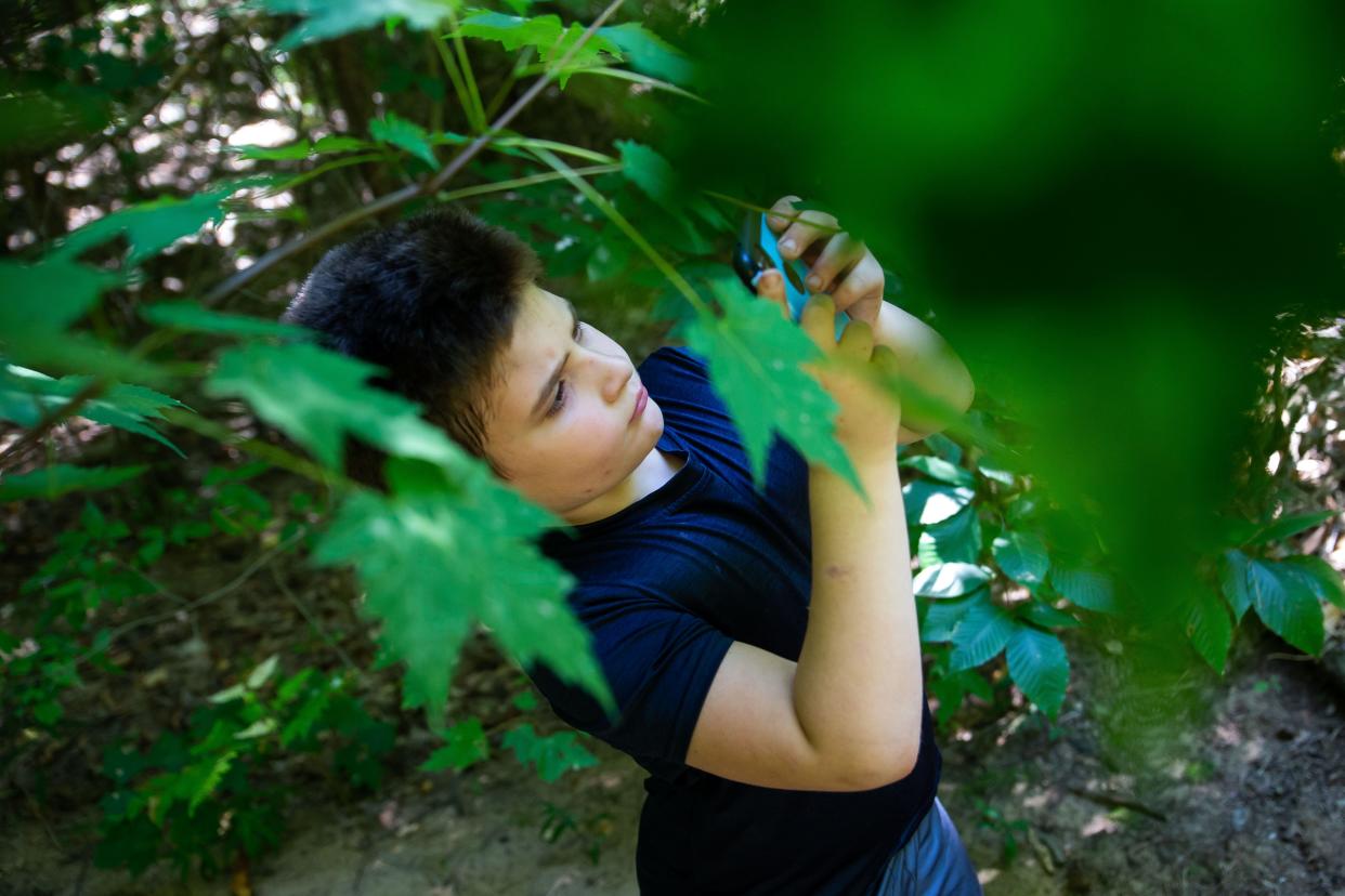 Kai Atallah identifies plants with an app during a field trip to a local park Friday, Sept. 9, 2022, in Holland. 