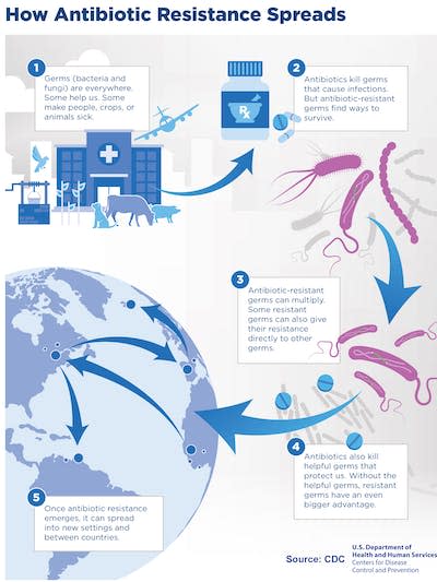 Resistant bacteria or resistance genes can spread across countries through travel, immigration, trade and even water and air circulation. (Centers for Disease Control and Prevention)