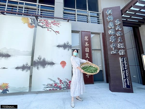 參山處松柏嶺遊客中心重新打造為茶文化主題館將於28日開幕。（記者蔡榮宗攝）