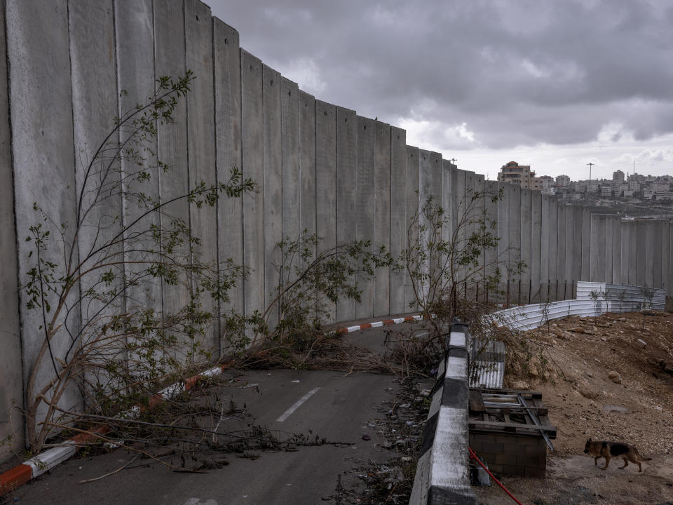 Vegetation grow by a section of Israel's concrete barrier separating Shuafat refugee camp from Jerusalem, Sunday, Feb. 6, 2022. Twenty years after Israel decided to built its controversial separation barrier amid a wave of Palestinian attacks, it remains in place, even as Israel encourages its own citizens to settle on both sides and admits tens of thousands of Palestinian laborers. (AP Photo/Oded Balilty)