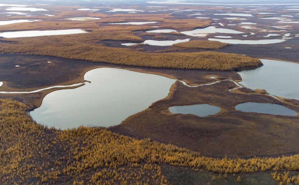 <p>Con la reserva quieren ganarle espacio a los bosques de taiga y tundra, que condensan el calor y ayudan a que se derrita el permafrost. La idea es recuperar en esta región de Siberia el ecosistema de la Edad de Hielo. (Foto: Maxim Shemetov / Reuters).</p> 