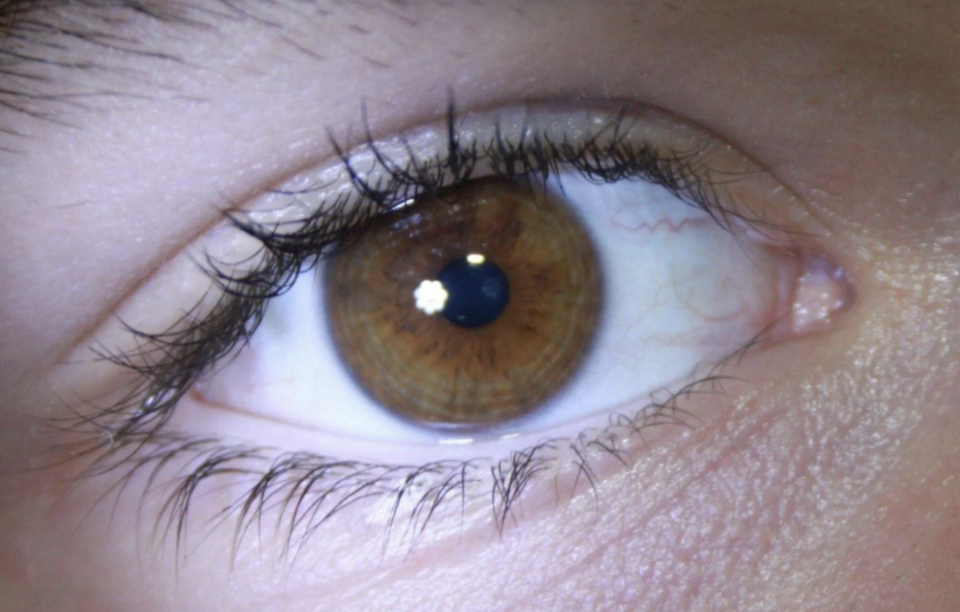 A close-up of a human eye highlighting the details of the iris and eyelashes