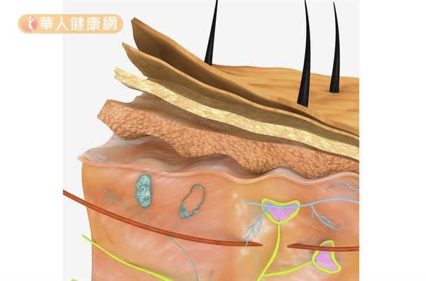 預防過度紫外線、抗老化，同時改善膚色不均或局部斑點，才是美白方法的主要重點與課題。