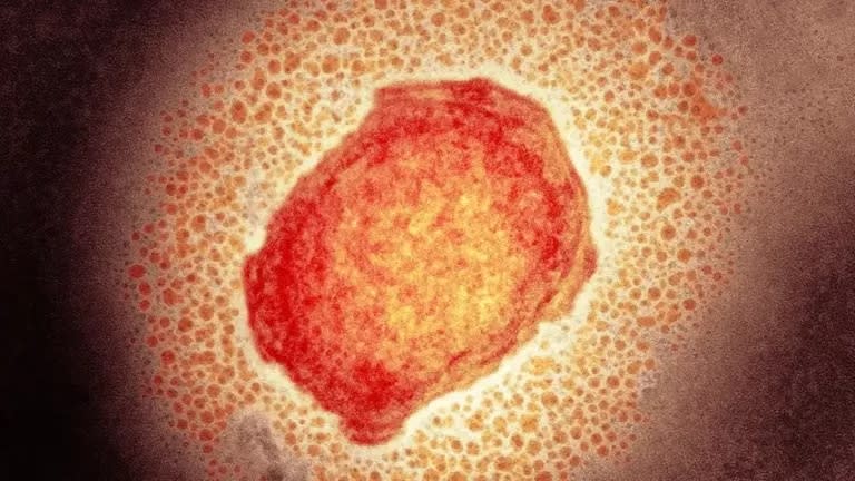 La vacuna contra el virus variola, que causaba la viruela original, protege también contra el más benigno de la símica.