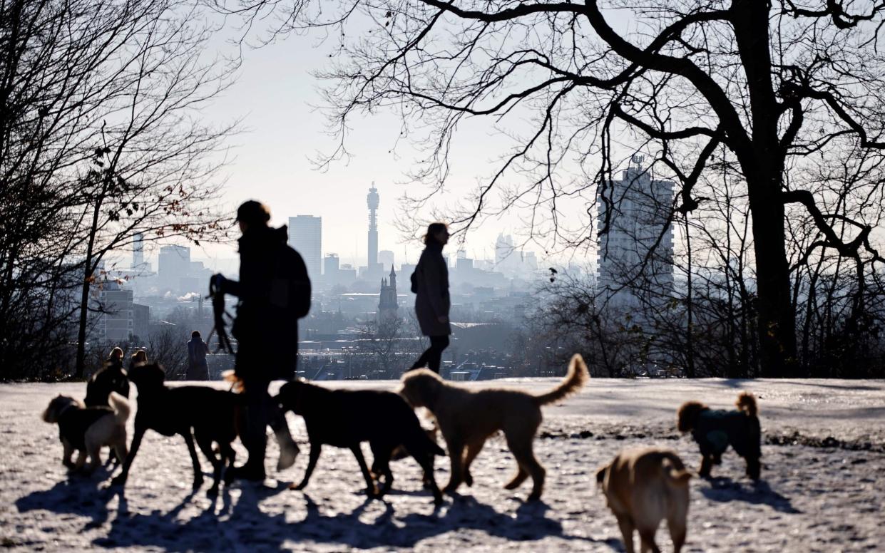  Britain has seen an explosion in the number of dog thefts since the coronavirus pandemic and resulting lockdowns started early last year, as demand for pets has surged - AFP