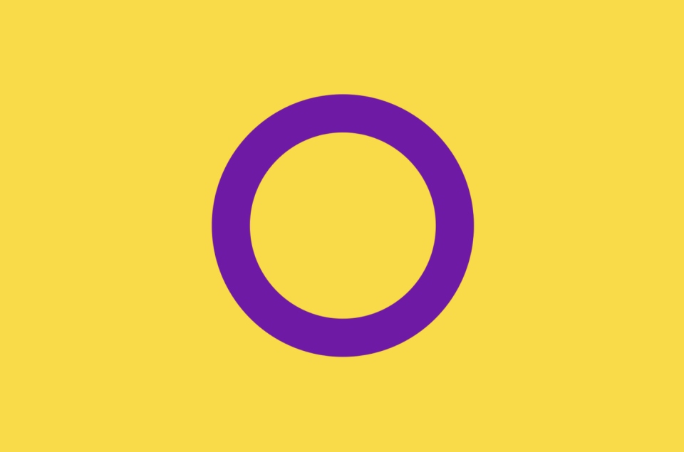 13) Intersex Flag