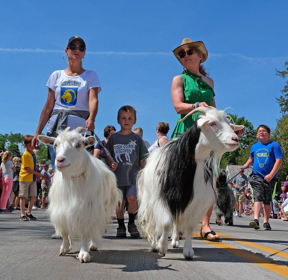Jill Johnson and Mickie Rasch get their goats ready to head through downtown Sister Bay and to the sod roof of Al Johnson's Swedish Restaurant for the annual Roofing of the Goats Parade in Sister Bay. The parade and following Goat Fest take place this year June 10.