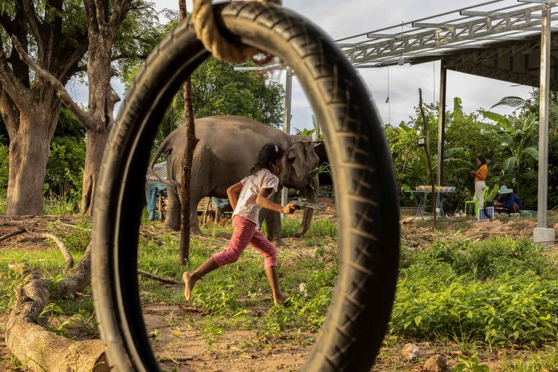 The Wider Image: Streaming to survive: Thailand's out-of-work elephants in crisis