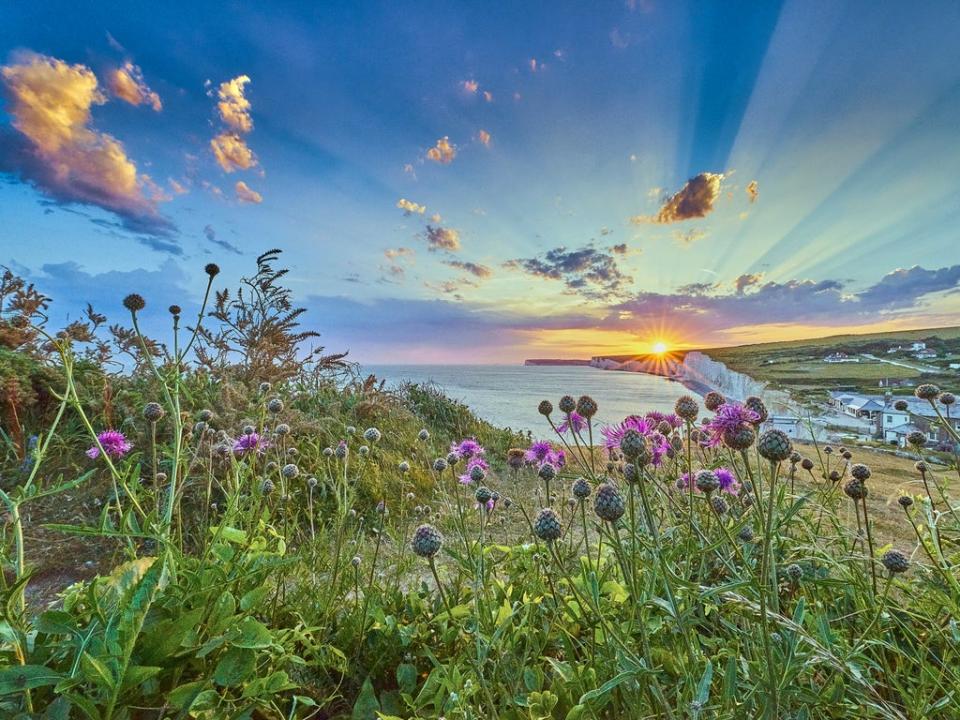 The National Trust’s Seven Sisters country park in East Sussex (Getty)