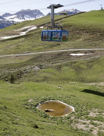 A cable car of the Weisshornbahnen is seen above as bear Napa enjoys a bath in a pond at the Arosa Baerenland sanctuary in the mountain resort of Arosa