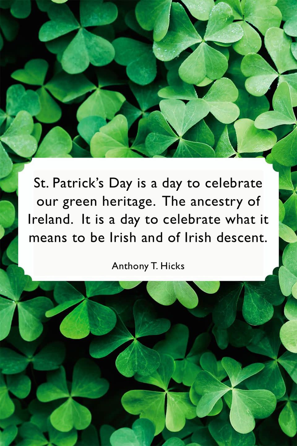 <p>"St. Patrick's Day is a day to celebrate our green heritage. The ancestry of Ireland. It is a day to celebrate what it means to be Irish and of Irish descent."</p>