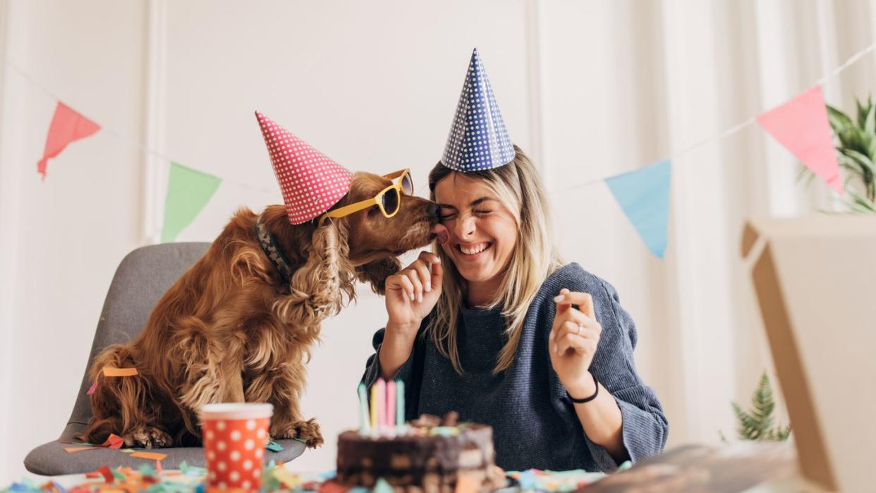 dog birthday party ideas, woman and dog celebrating pup's birthday with a cake