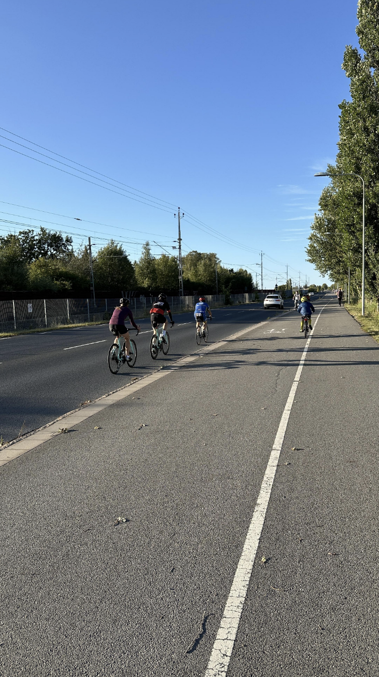 Five people biking in a line on a road with a car visible ahead. Trees and power lines are seen in the background