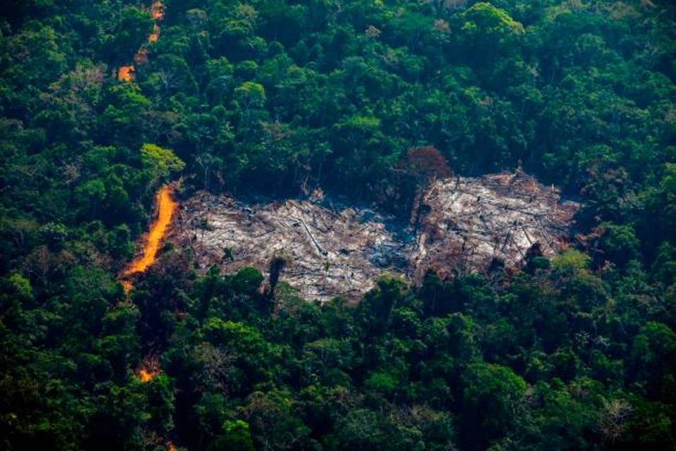 Aerial view of deforestation in Para state (AFP via Getty Images)
