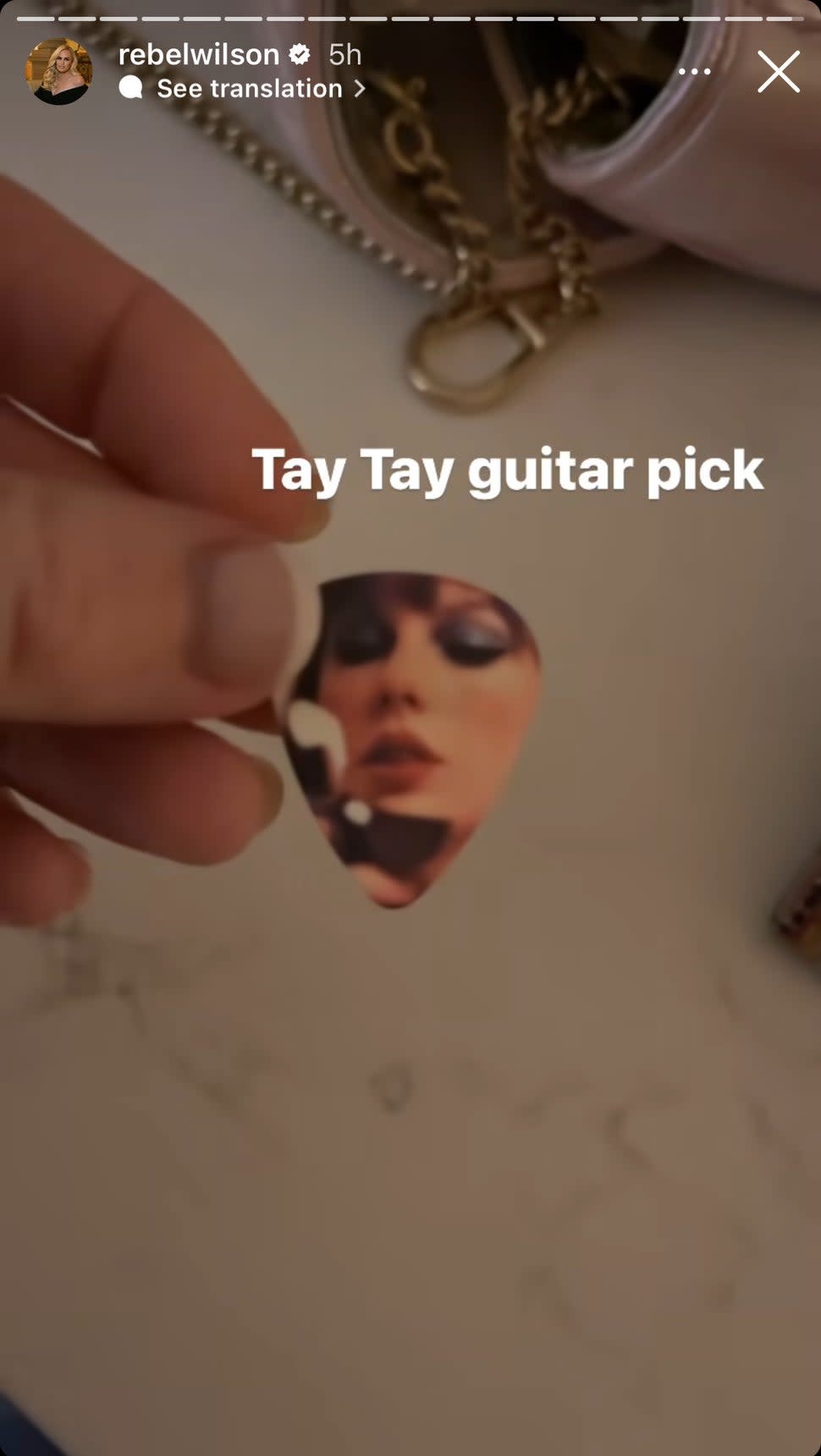 Taylor Swift Guitar Pick Rebel Wilson IG