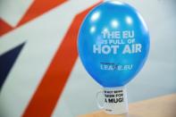 A branded balloon and mug are seen in the office of pro-Brexit group pressure group "Leave.eu" in London, Britain February 12, 2016. REUTERS/Neil Hall