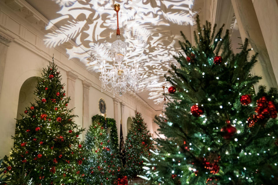 Christmas Trees line the hall during the White House Christmas preview in the Cross Hall of the White House on Monday, Nov. 26, 2018 in Washington, DC. (Photo by Jabin Botsford/The Washington Post via Getty Images) | The Washington Post—The Washington Post/Getty Images