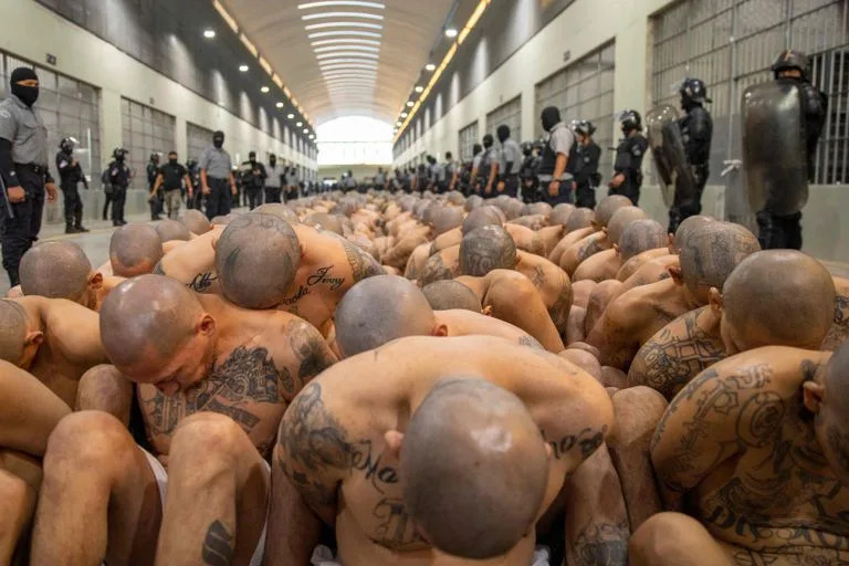 Cientos de detenidos en la cárcel conocida como Cecot, en Tecoluca, El Salvador. (Salvadorean Presidency / AFP)