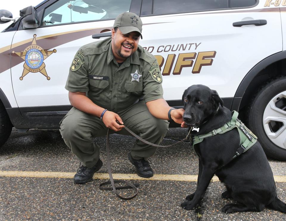 Cara, a Labrador retriever, works with Josh Wright, a deputy in the Strafford County sheriff's office. Cara helps comfort people, including children dealing with trauma.