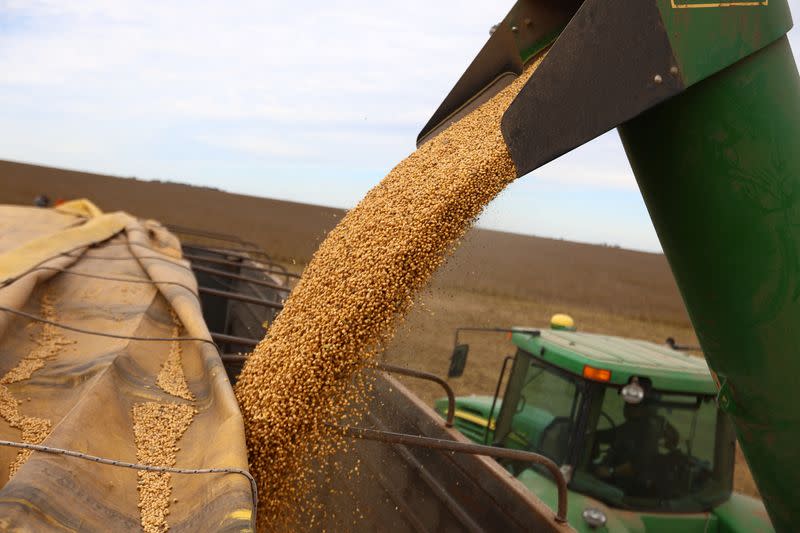 Productores de soja de Argentina esperan por alza de precios para vender cosecha tras fuertes lluvias