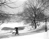 <p>A New Yorker takes her dog for a walk amongst a snowy Central Park. </p>